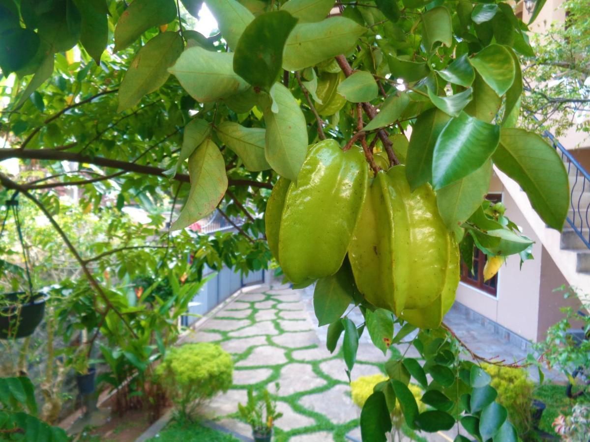 De Fancy House Hotel Unawatuna Ngoại thất bức ảnh